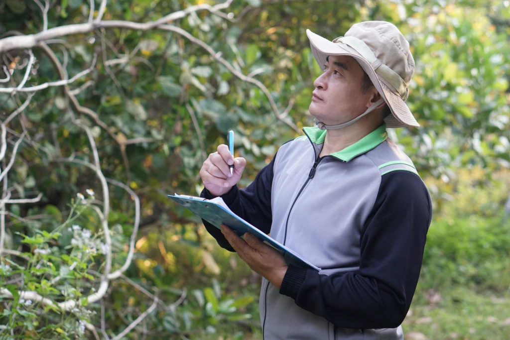 asian man performing a biosurvey in a forest