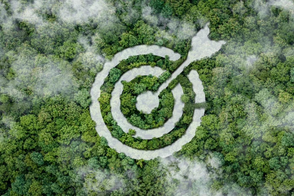 a forest with a target in the middle depicting the long term advantage of a good Phase I ESA partner
