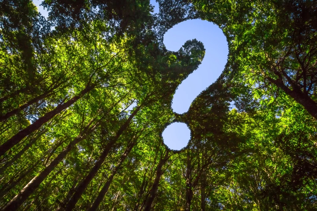 trees with a question mark in the middle to depict a question like when is a transaction screen assessment needed