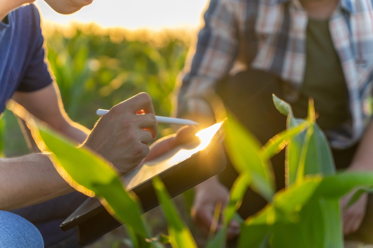 two environmental specialists in a field with one holding a tablet and a stylus