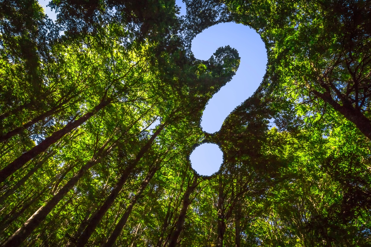trees with a question mark in the middle to depict a question like when is a TSA needed